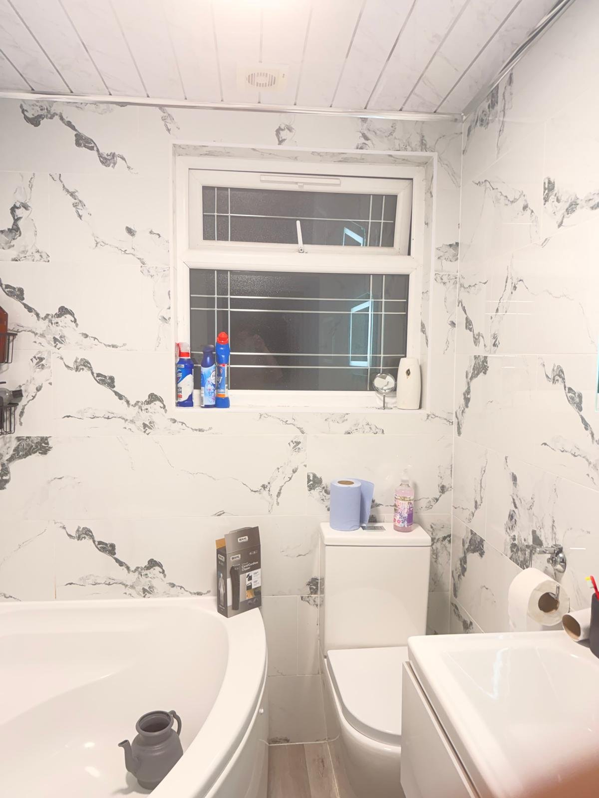 Bathroom Project